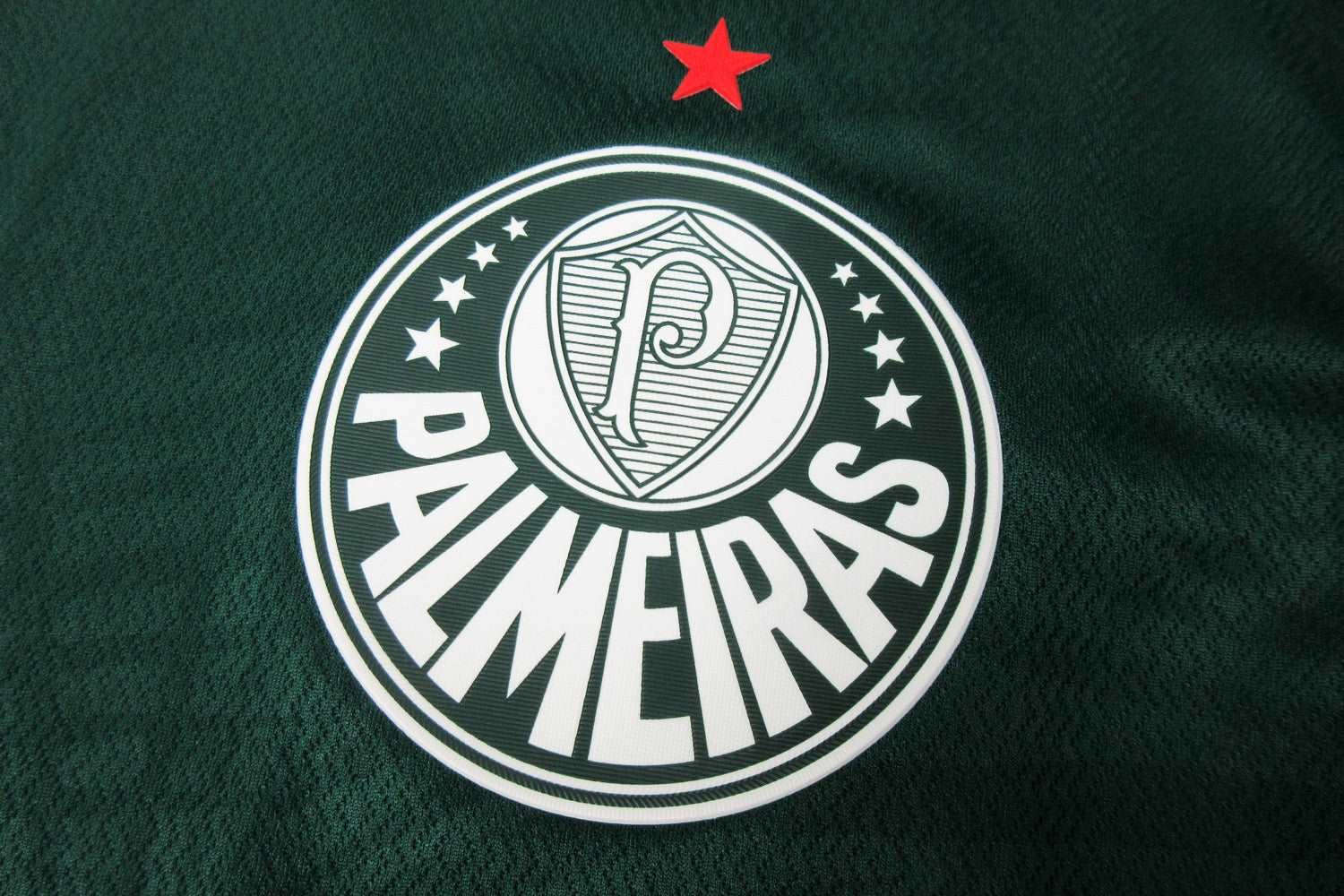 Kit domicile de Palmeiras 22/23 - Version joueur 